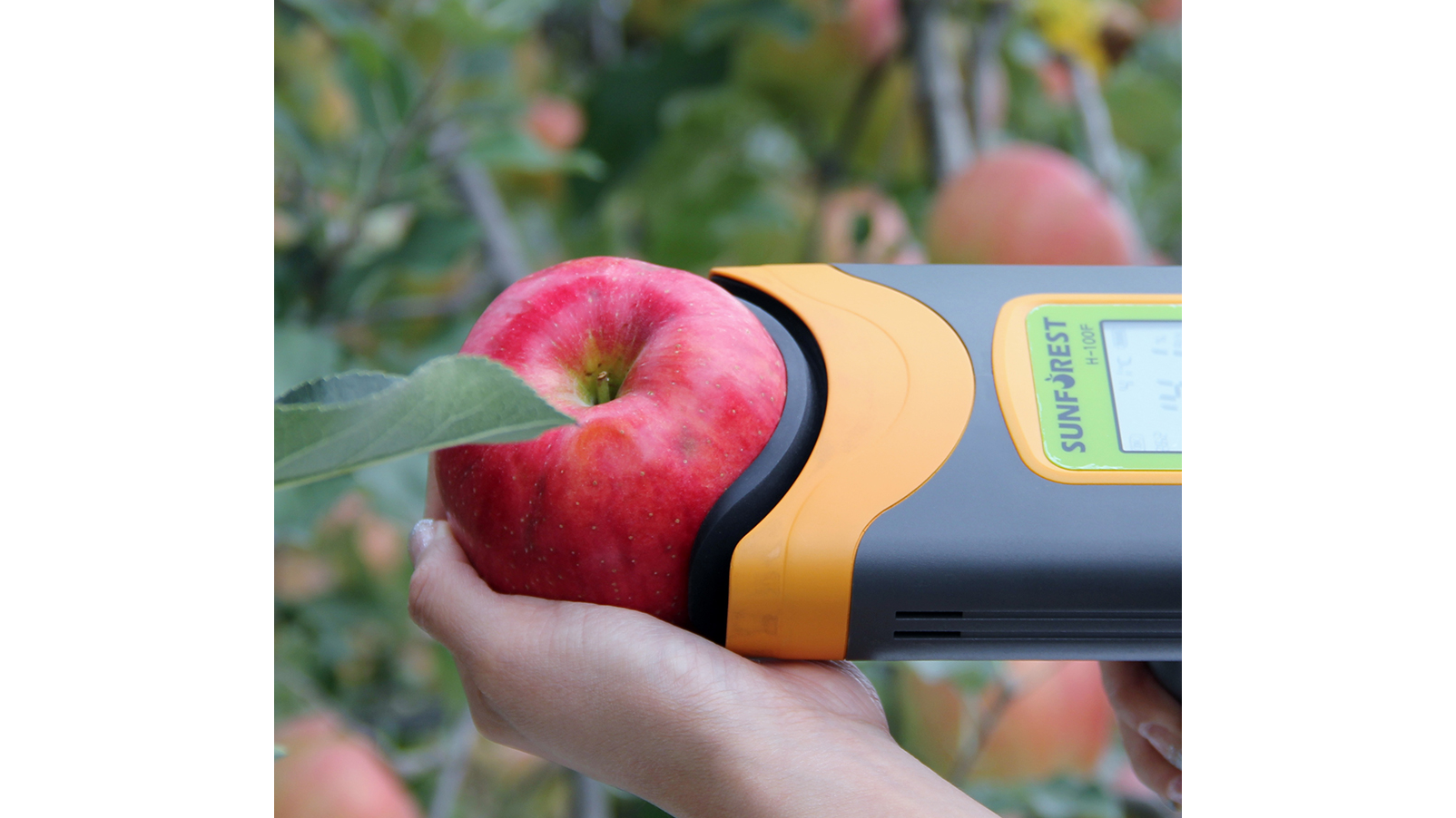 H100系列果實(shí)品質(zhì)檢測(cè)儀